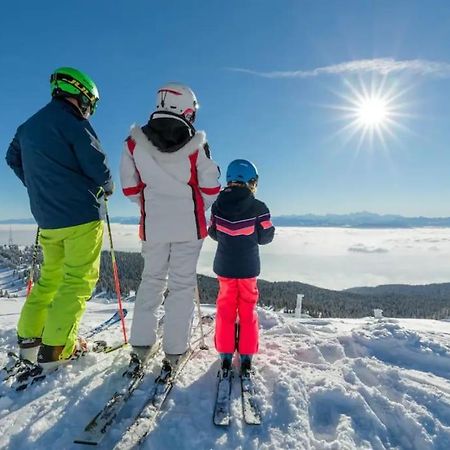 Studio Chaleureux Au Depart Des Sentiers Et Pistes De Ski Lajoux エクステリア 写真