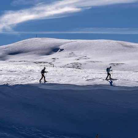 Studio Chaleureux Au Depart Des Sentiers Et Pistes De Ski Lajoux エクステリア 写真