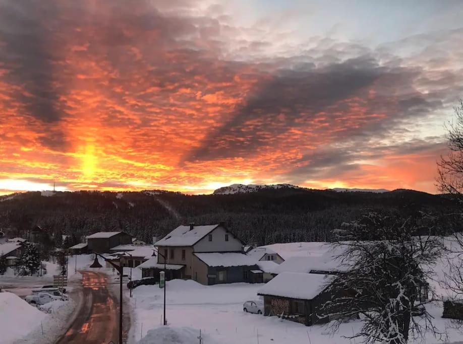 Studio Chaleureux Au Depart Des Sentiers Et Pistes De Ski Lajoux エクステリア 写真