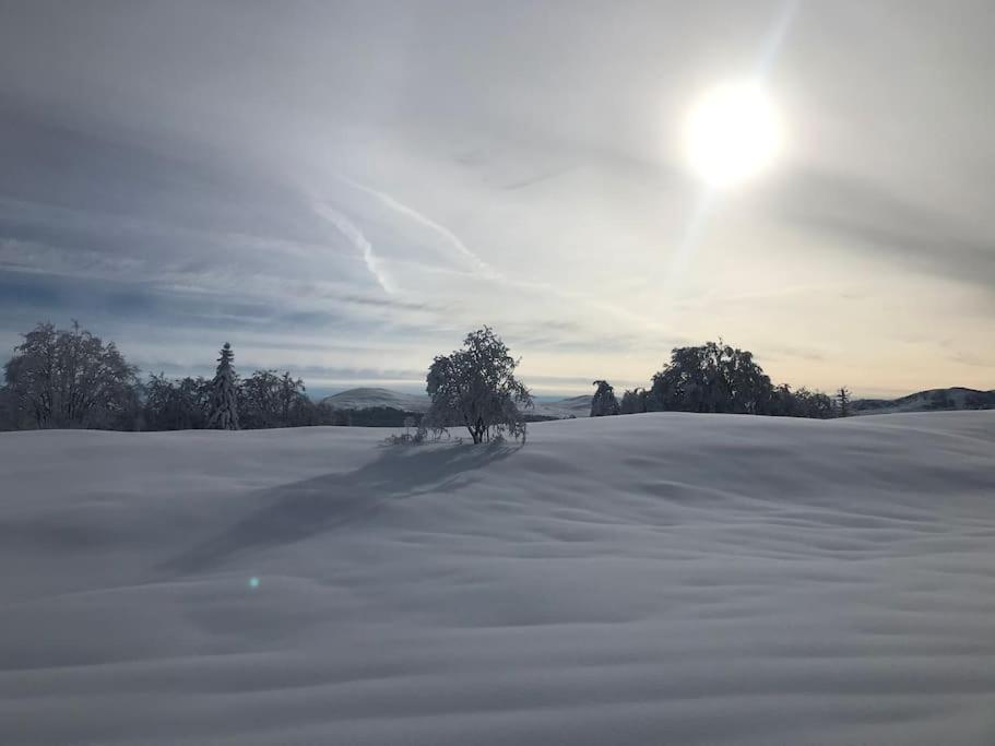 Studio Chaleureux Au Depart Des Sentiers Et Pistes De Ski Lajoux エクステリア 写真