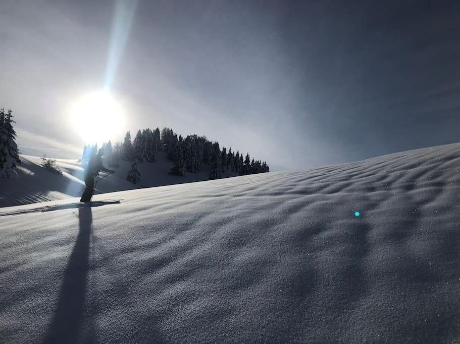 Studio Chaleureux Au Depart Des Sentiers Et Pistes De Ski Lajoux エクステリア 写真