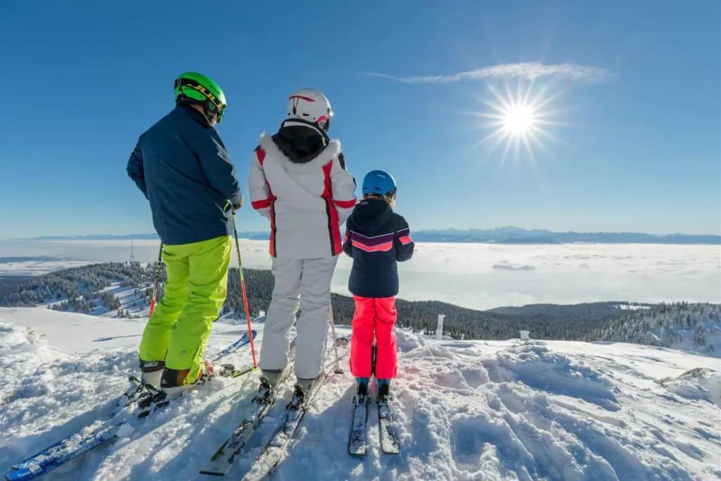 Studio Chaleureux Au Depart Des Sentiers Et Pistes De Ski Lajoux エクステリア 写真