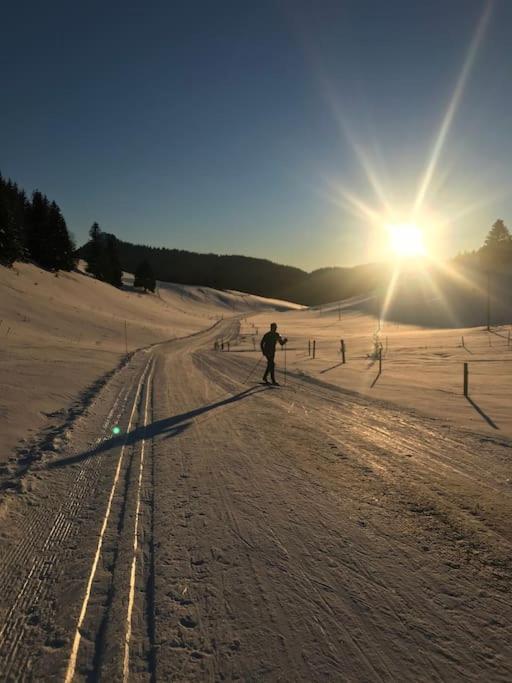 Studio Chaleureux Au Depart Des Sentiers Et Pistes De Ski Lajoux エクステリア 写真