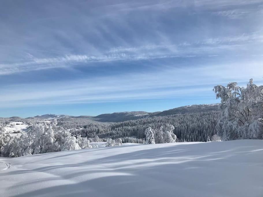 Studio Chaleureux Au Depart Des Sentiers Et Pistes De Ski Lajoux エクステリア 写真