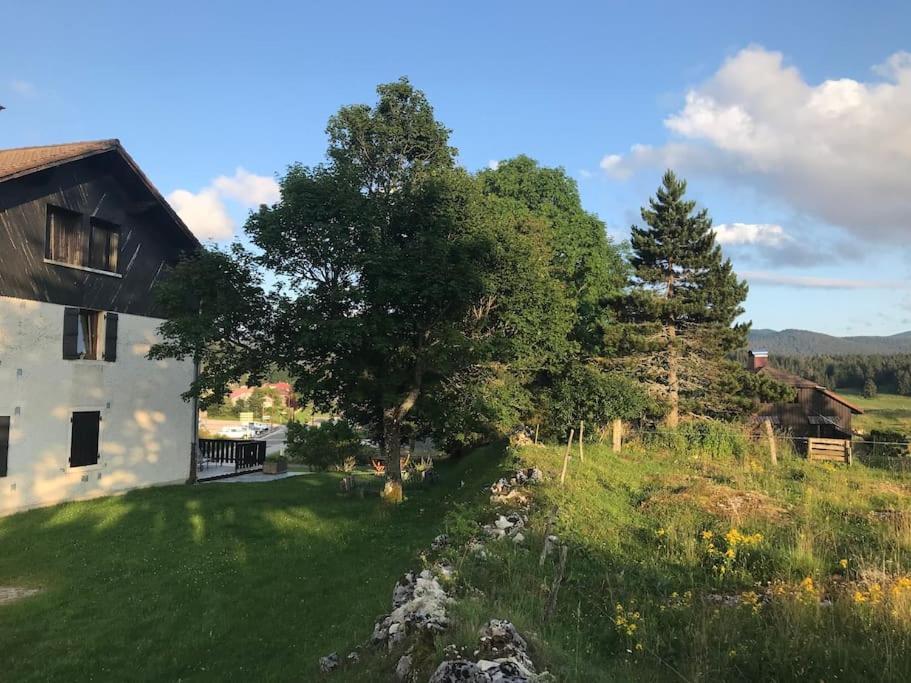 Studio Chaleureux Au Depart Des Sentiers Et Pistes De Ski Lajoux エクステリア 写真